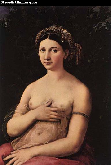 RAFFAELLO Sanzio Portrait of a Young Woman